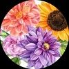 saracalicchia